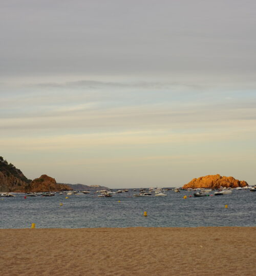 DSC09417